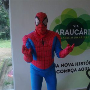 Homem Aranha